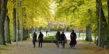 People moving through a park